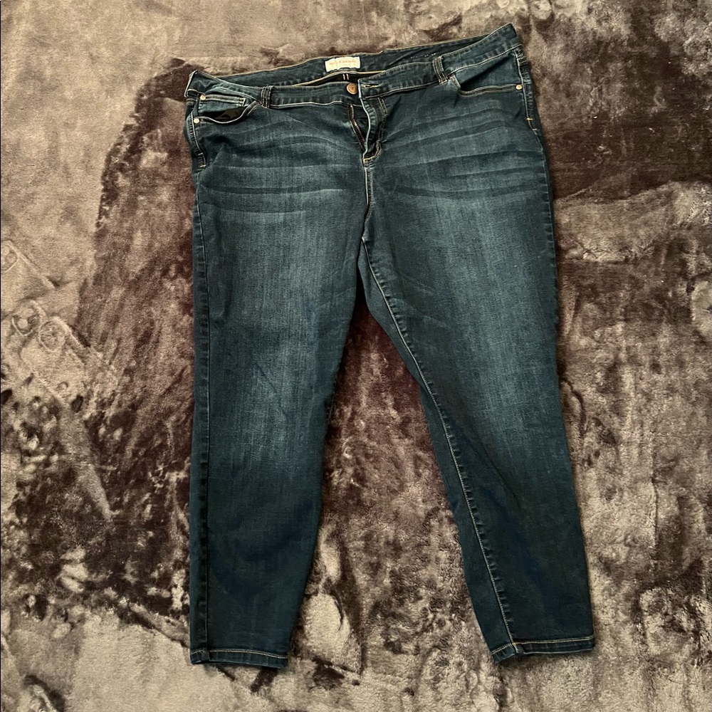 2/20 or 3 for 24 Molly Isorda size 24 jeans